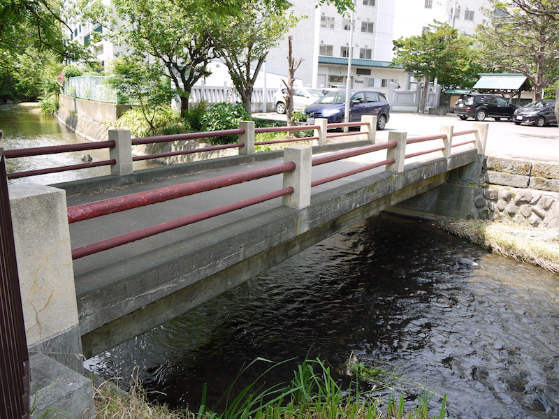 水天宮橋(札幌市中央区) 右岸(中島公園側)から撮影した側面
