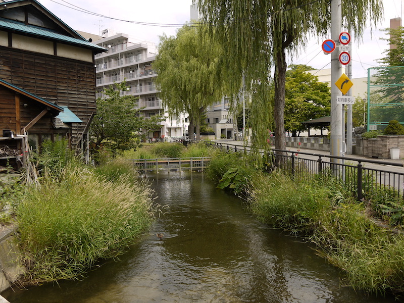 園生橋(札幌市中央区) 園生橋から撮影した鴨々川下流側