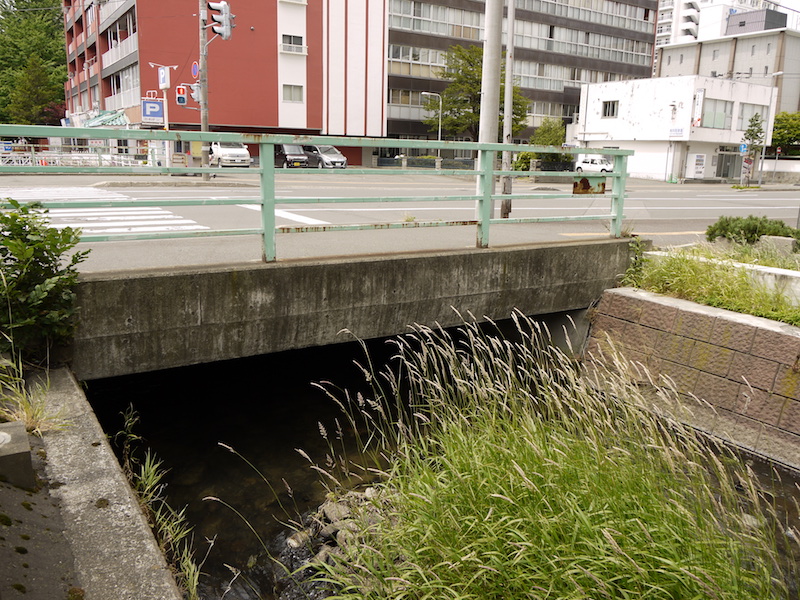 豊水橋(札幌市中央区) 起点右側から撮影した豊水橋