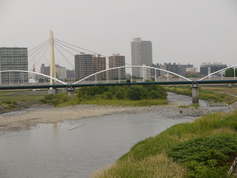 豊平橋(札幌市中央区・豊平区) 橋からの眺望(下流側)(8)