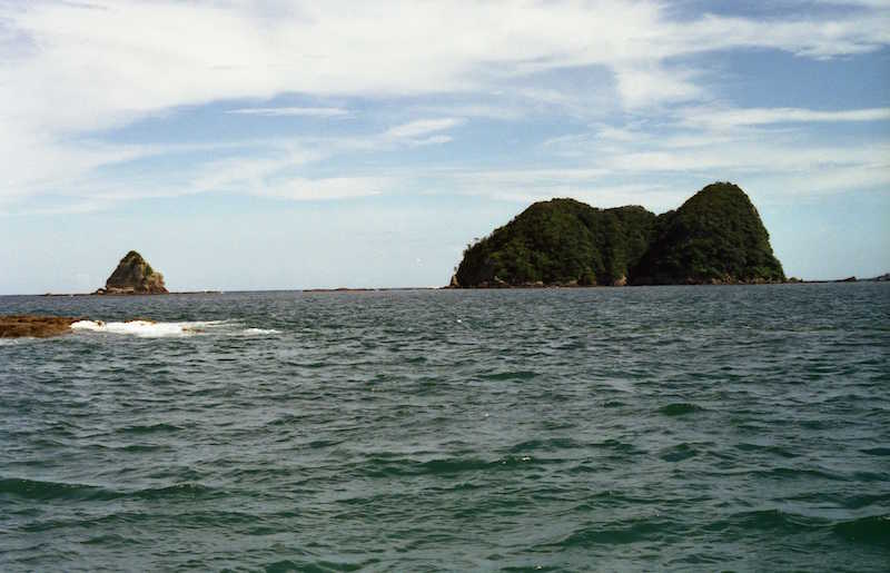 日南海岸 日南海中公園付近(2) グラスボート上から撮影(推定) 撮影対象名、撮影地点共に詳細不明