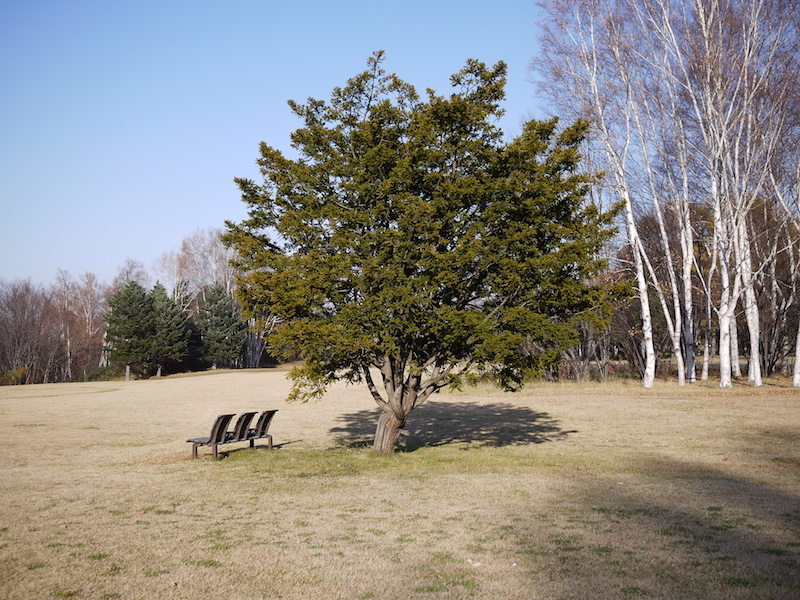 北海道立真駒内公園 見晴台付近 北海道札幌市