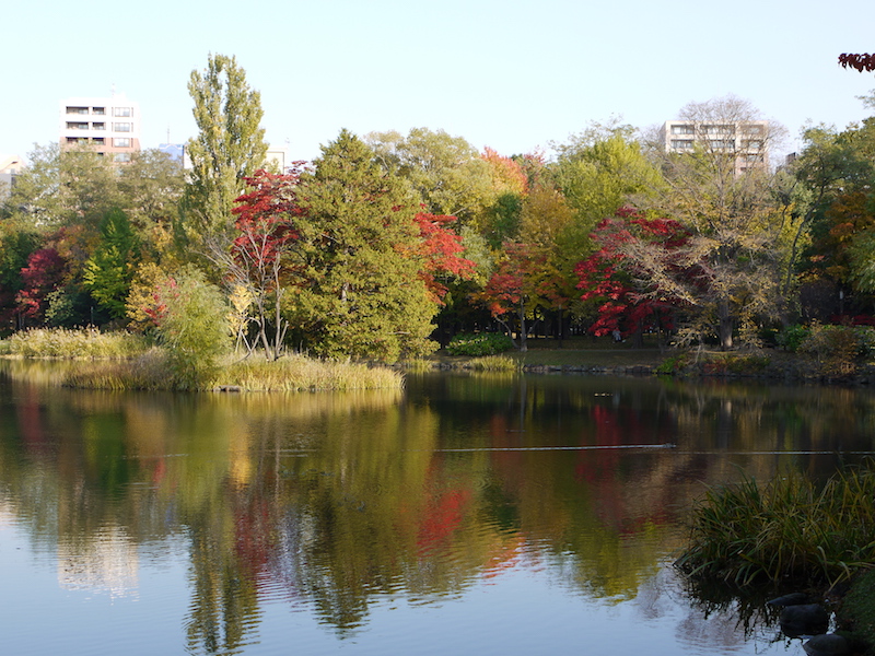 中島公園 菖蒲池周辺の紅葉 北海道札幌市