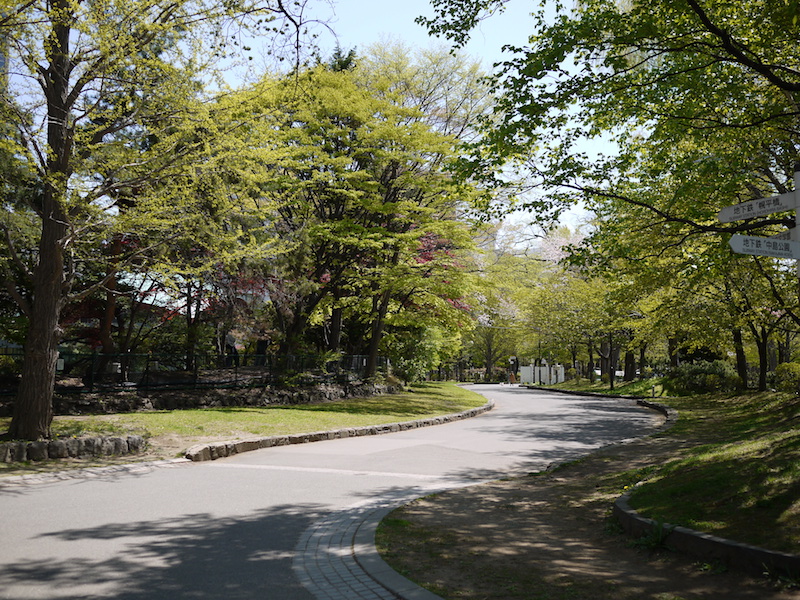 中島公園 公園内樹木 北海道札幌市