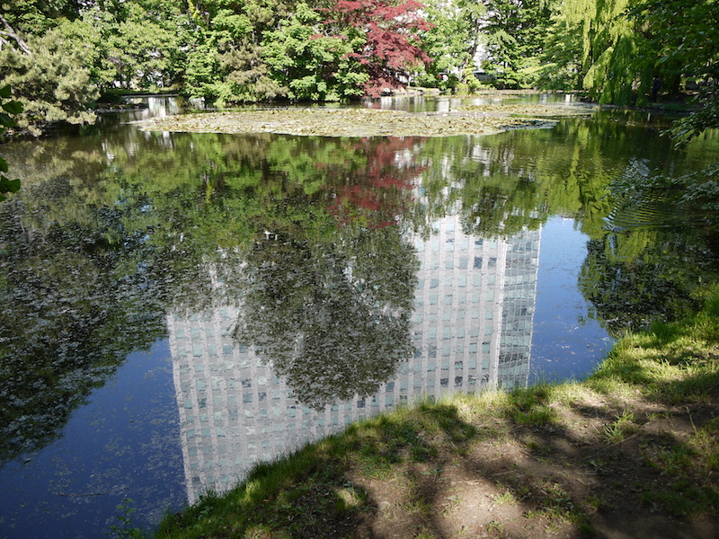 赤れんが庁舎(北海道庁旧本庁舎) 前庭北側の池(1)