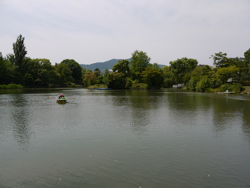 中島公園 菖蒲池
