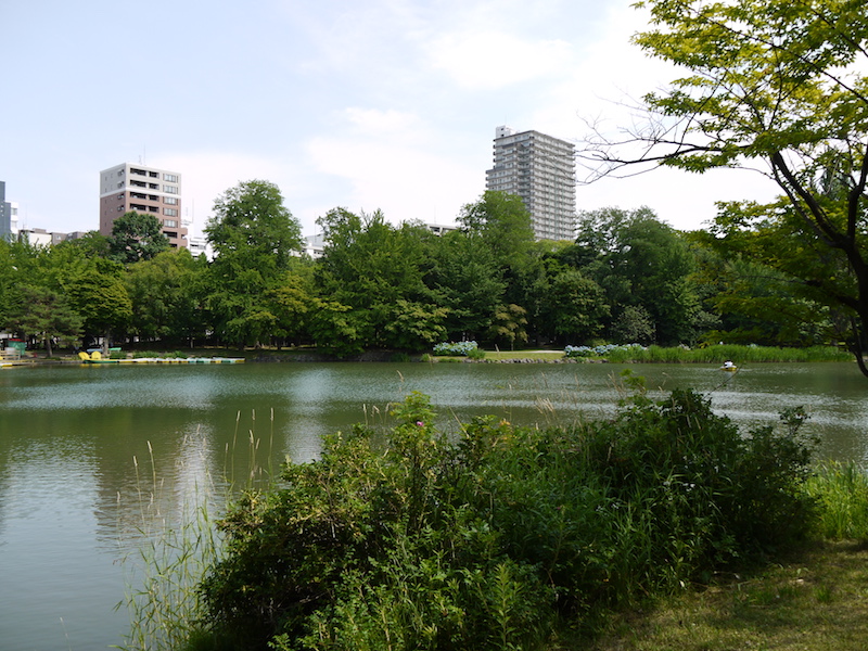 中島公園 菖蒲池西岸