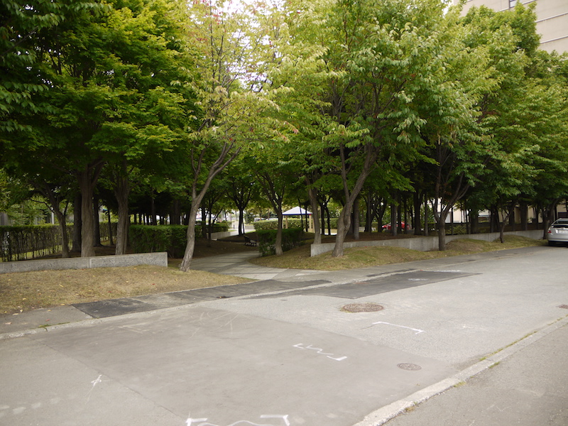 豊平橋南緑地(札幌市) 公園内遊歩道(1)