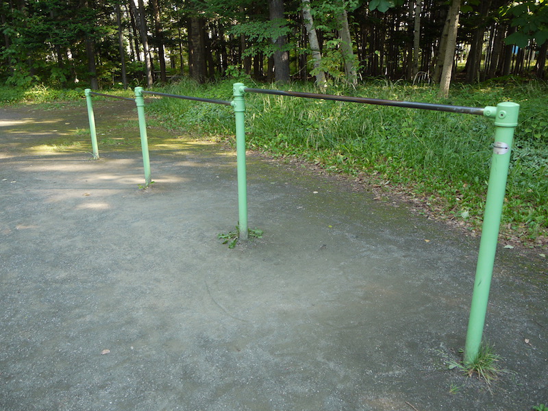 豊平公園(札幌市) 遊具広場 鉄棒
