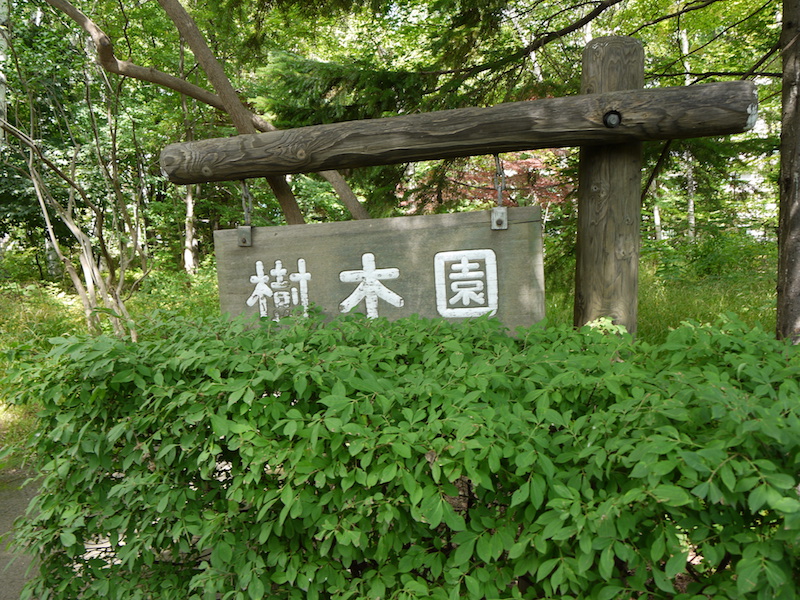 豊平公園(札幌市) 樹木園(1)