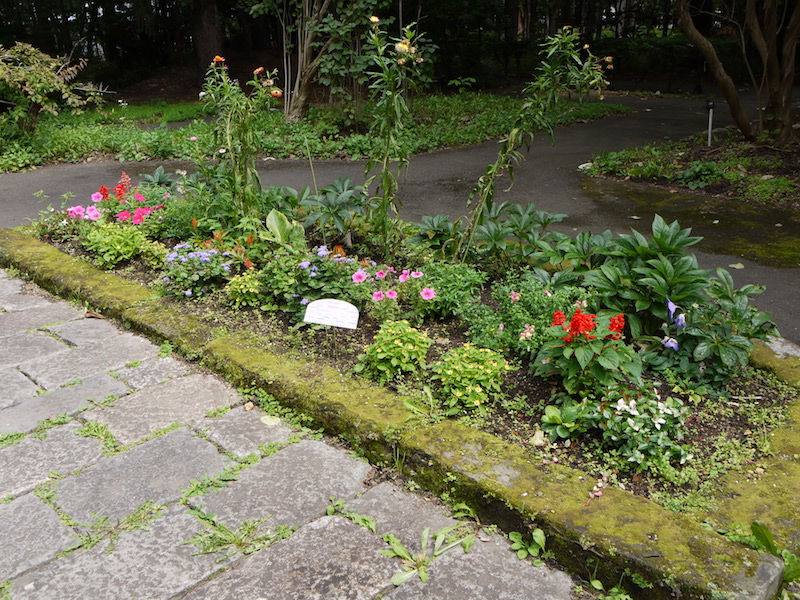 豊平公園(札幌市) 噴水横の花壇