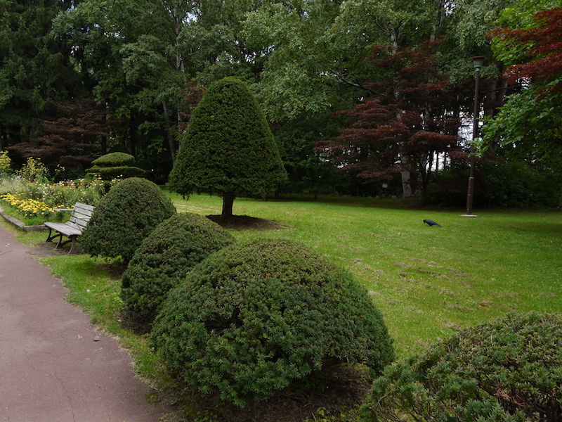 豊平公園(札幌市) 池周辺の庭園(1)