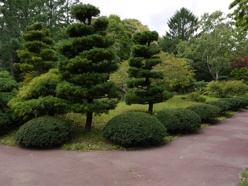 豊平公園(札幌市) 池周辺の庭園(2)