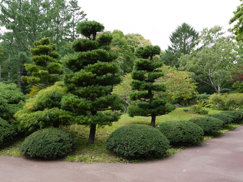 豊平公園(札幌市) 池周辺の庭園(3)