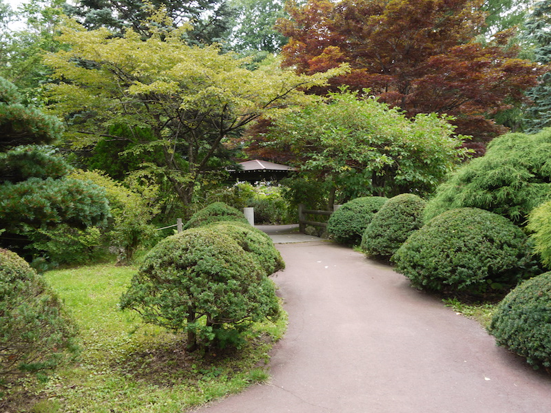 豊平公園(札幌市) 池周辺の庭園(4)