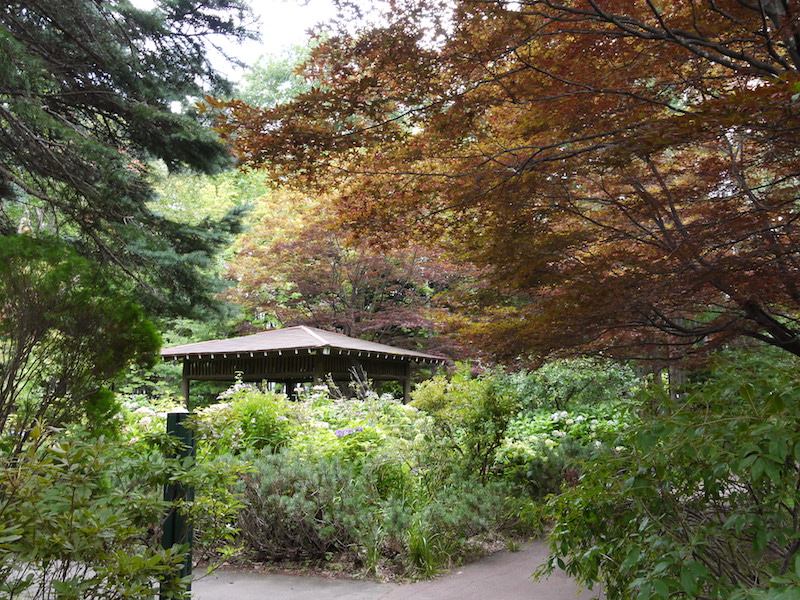 豊平公園(札幌市) 池周辺(3)