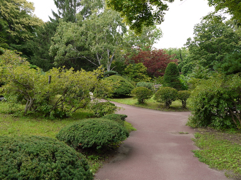 豊平公園(札幌市) 池周辺の庭園(6)