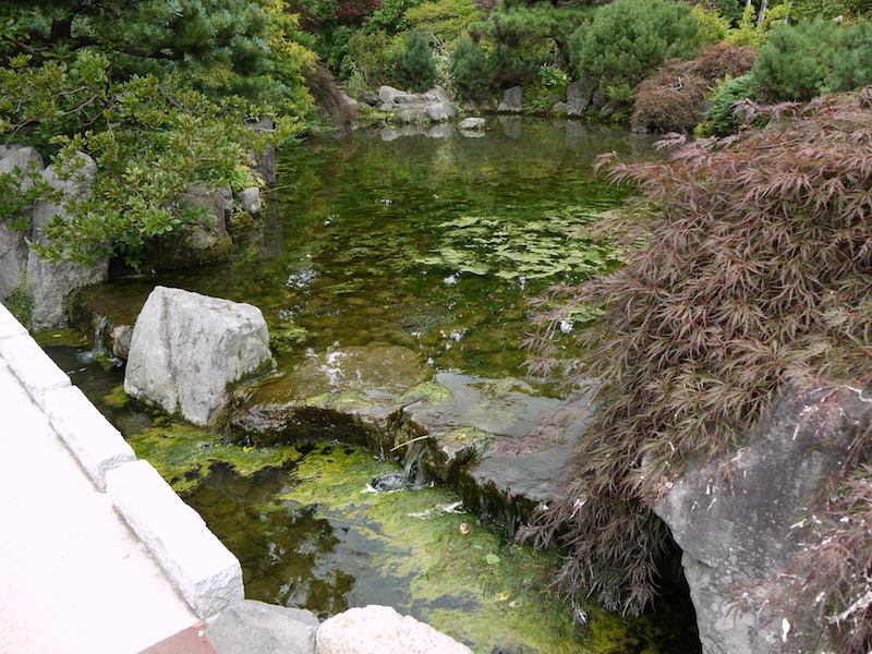豊平公園(札幌市) 池周辺(9)