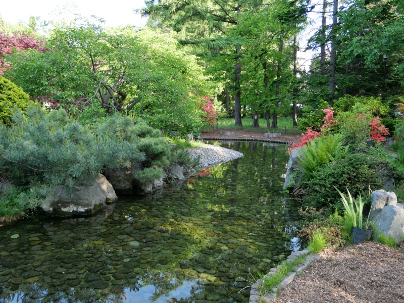 豊平公園(札幌市) 池周辺