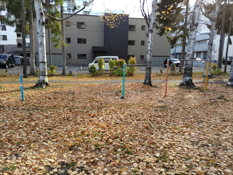 平園公園(札幌市) 鉄棒