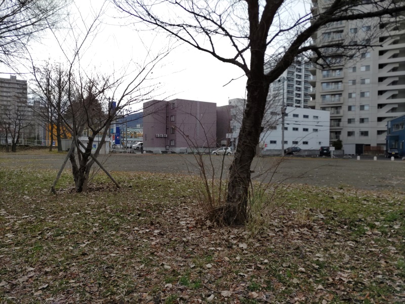 豊中公園(札幌市) 外周路