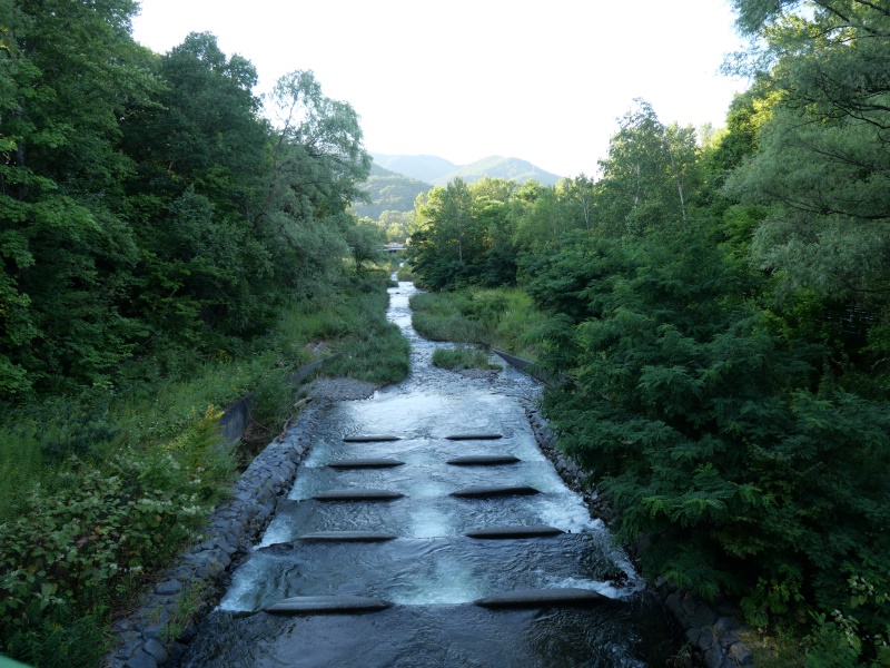 北海道立真駒内公園(札幌市) 園路