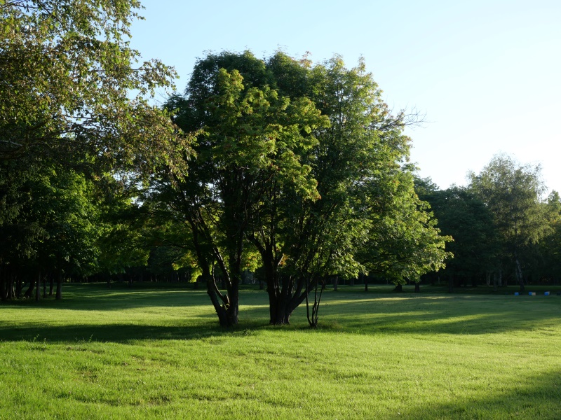 北海道立真駒内公園(札幌市) 園路