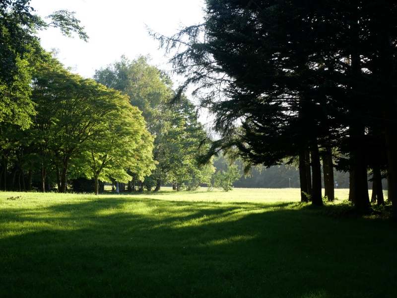 北海道立真駒内公園(札幌市) 園路
