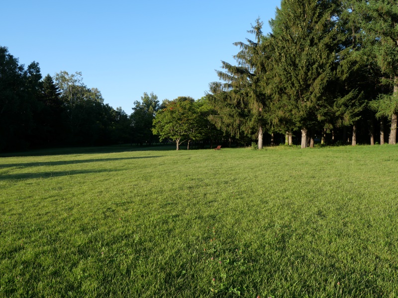 北海道立真駒内公園(札幌市) 園路