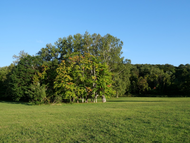 北海道立真駒内公園(札幌市) 園路