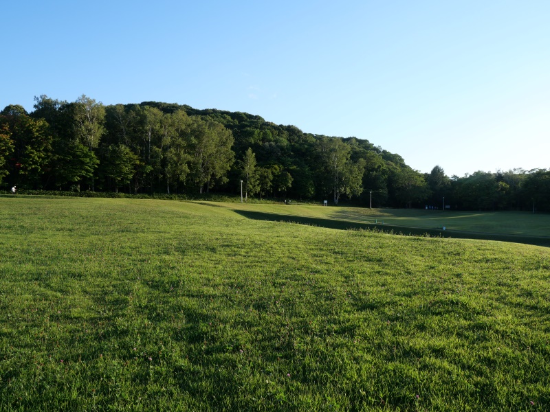 北海道立真駒内公園(札幌市) 園路