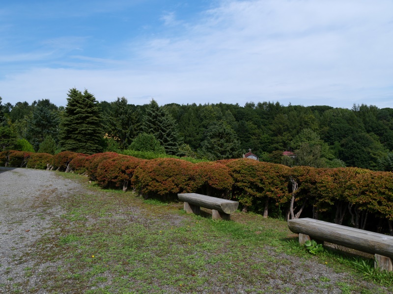 手宮緑化植物園(小樽市) 園路