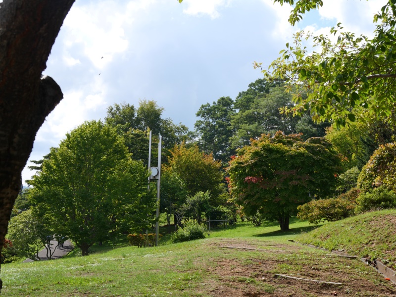 手宮緑化植物園(小樽市) 園路