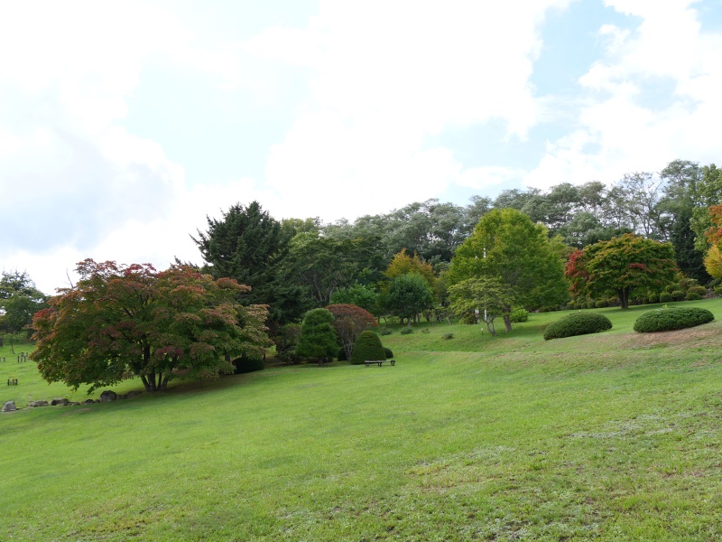 手宮緑化植物園(小樽市) 園路