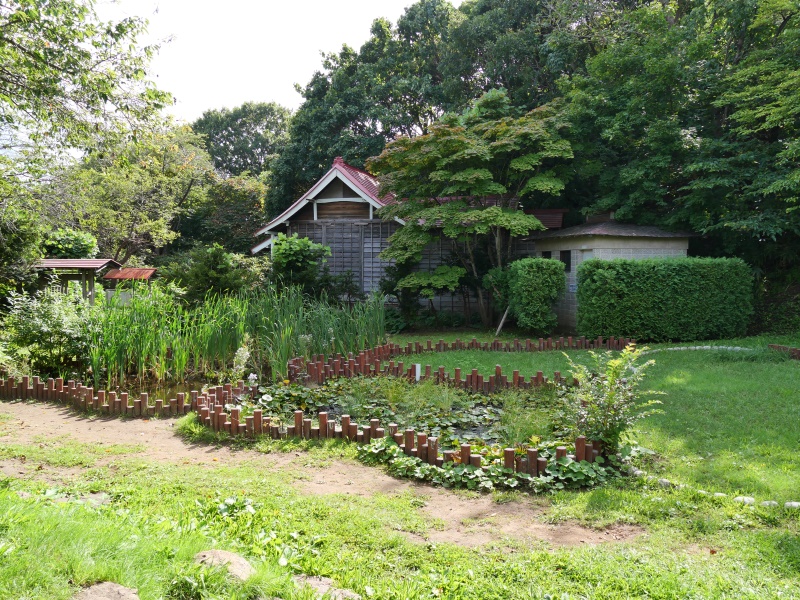 手宮緑化植物園(小樽市) 園路