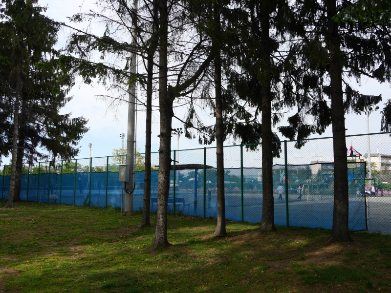 農試公園(札幌市) 園路