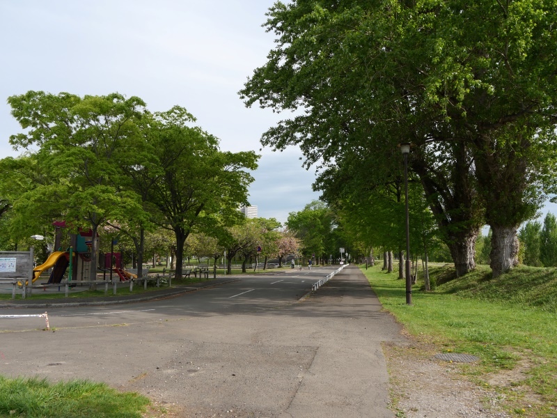 農試公園(札幌市) 園路