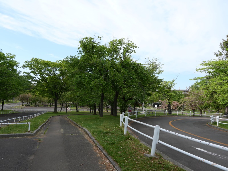 農試公園(札幌市) 園路