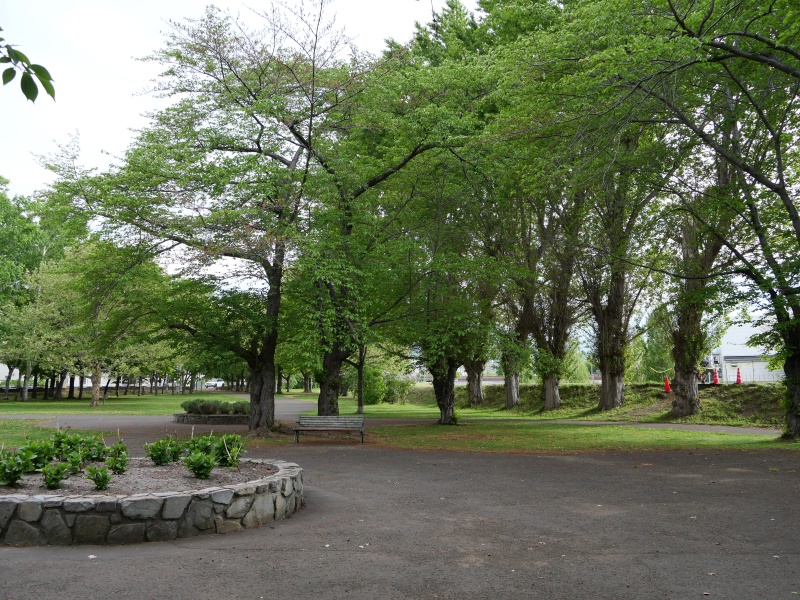農試公園(札幌市) 園路