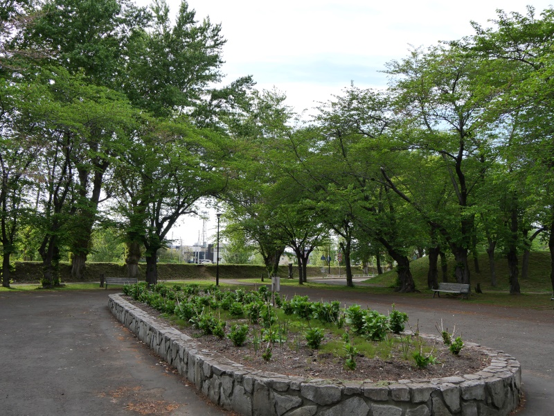 農試公園(札幌市) 園路
