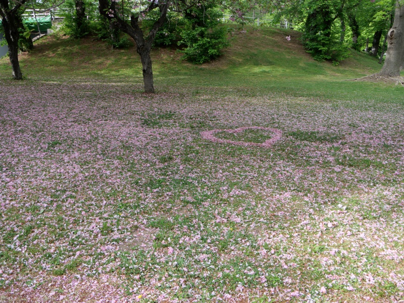 農試公園(札幌市) 園路
