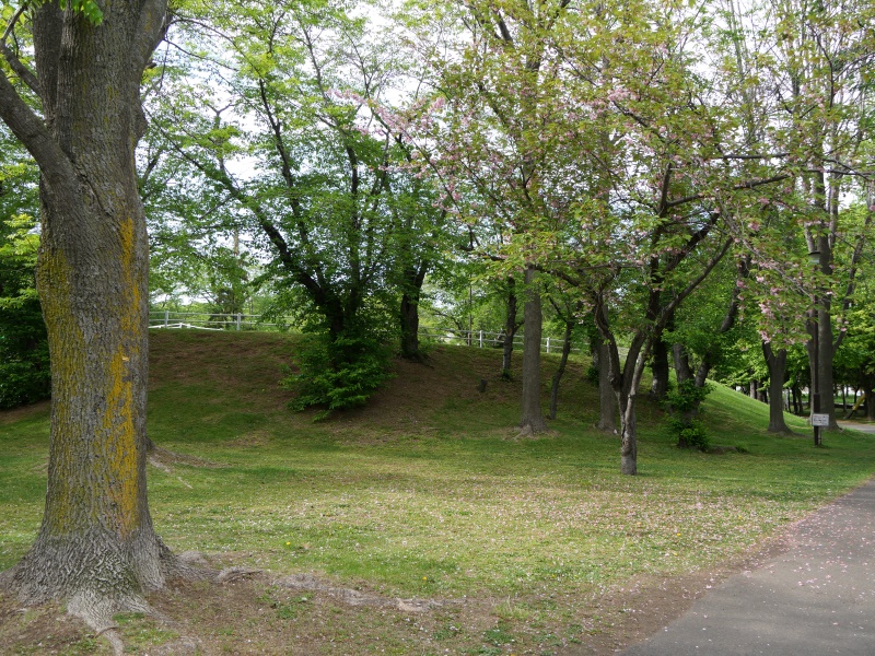 農試公園(札幌市) 園路