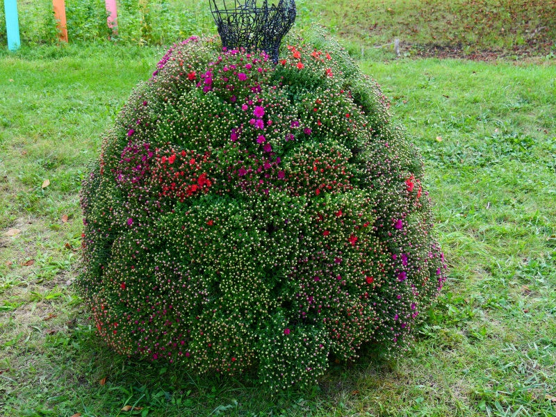 国営滝野すずらん丘陵公園(札幌市) 園路 収穫の谷