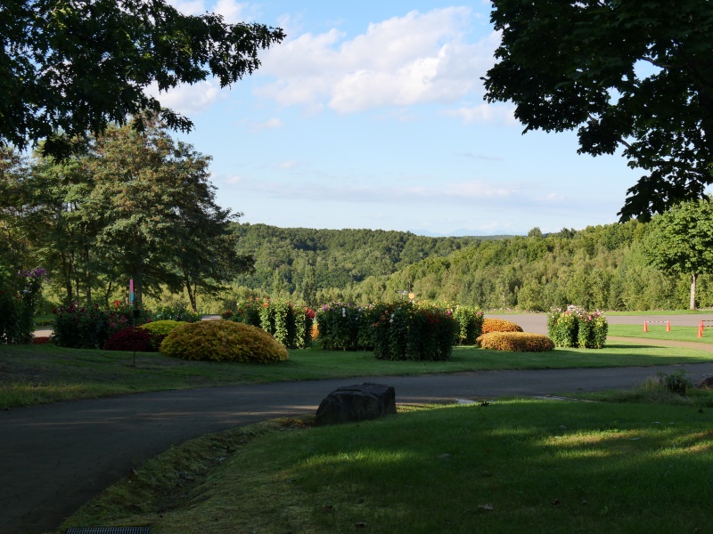 国営滝野すずらん丘陵公園(札幌市) 園路