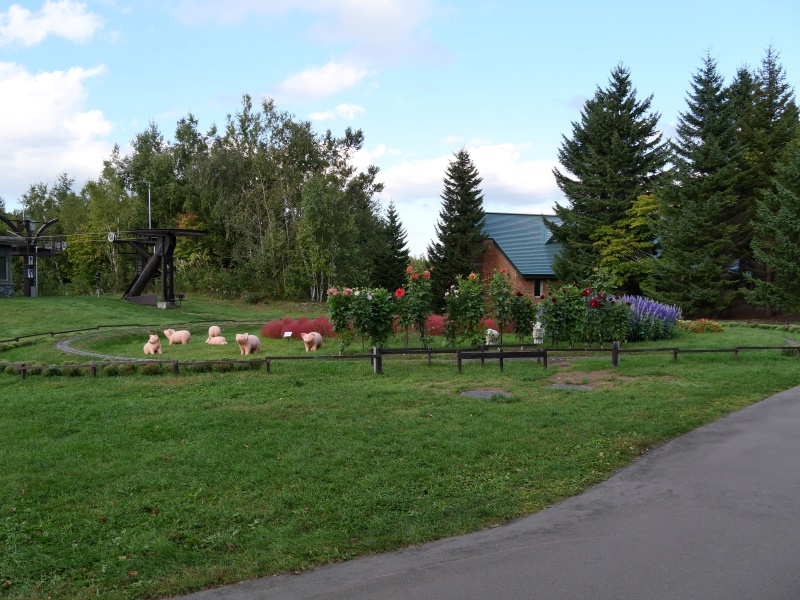 国営滝野すずらん丘陵公園(札幌市) 園路
